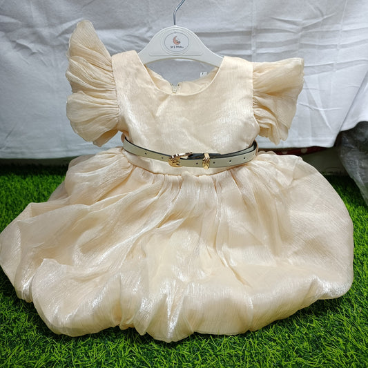 DRESS SILK